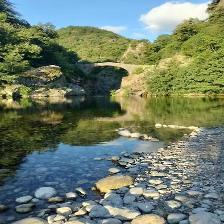 Tranquil In